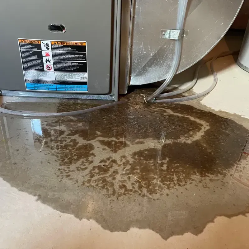 Appliance Leak Cleanup in Sonoma, CA